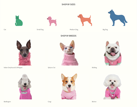 PIKAPIKA Brand Advantages Catering to Special Body Types of Pets