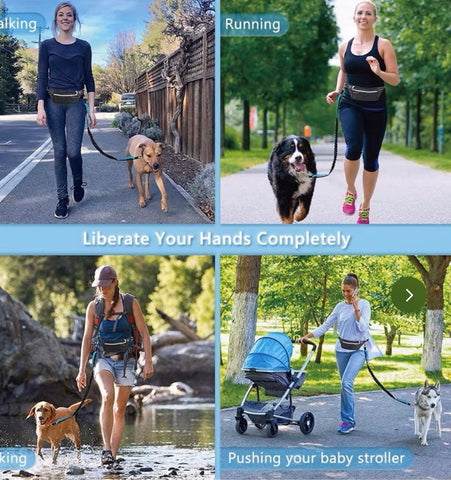 Hands Free Dog Leash for Medium and Large Dogs