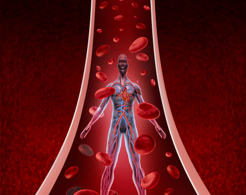 Red light therapy can promote blood circulation