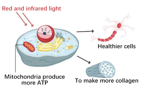 The principle of red light therapy