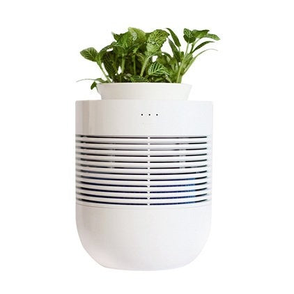 [Banu] Healing Pot Humidifier + Flower Pot