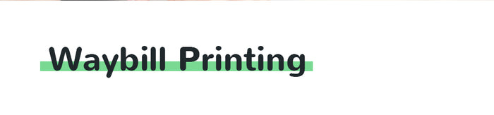 PeriPage A9 Max Mini Printer