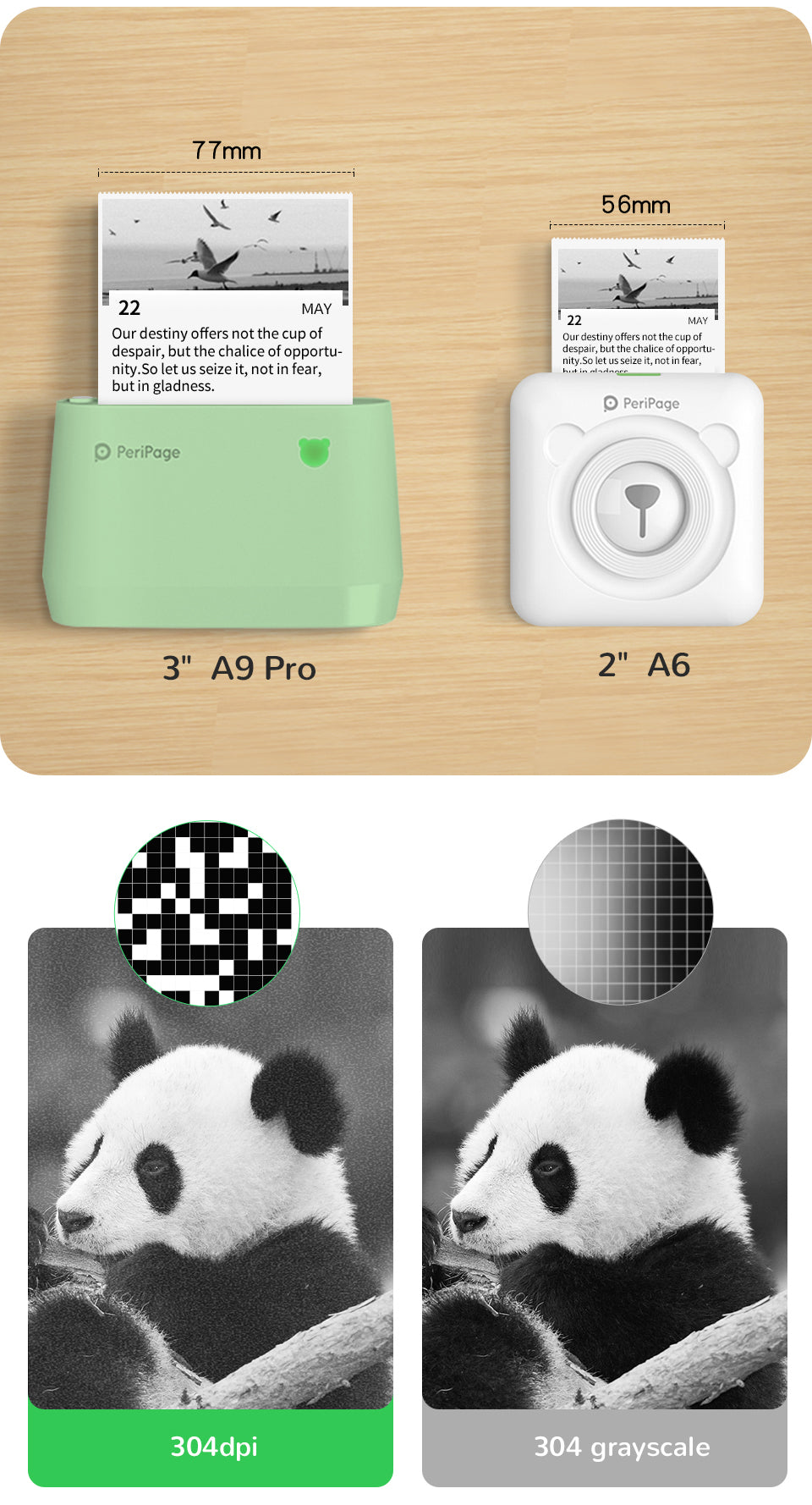 PeriPage A9 Pro Mini Grayscale Photo Printer