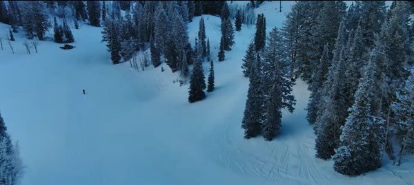 winter drone fly