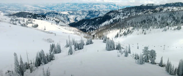 winter fly drone