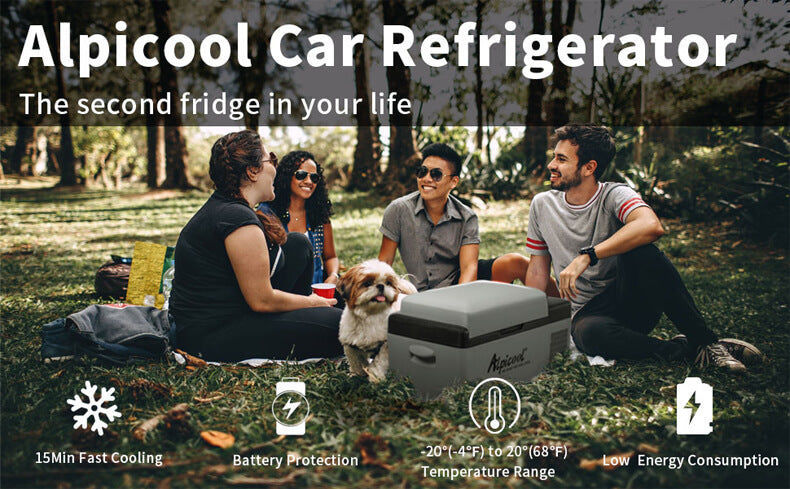 Alpicool C15/B15L Mini Car Refrigerator for Camping or Truck Detail 1