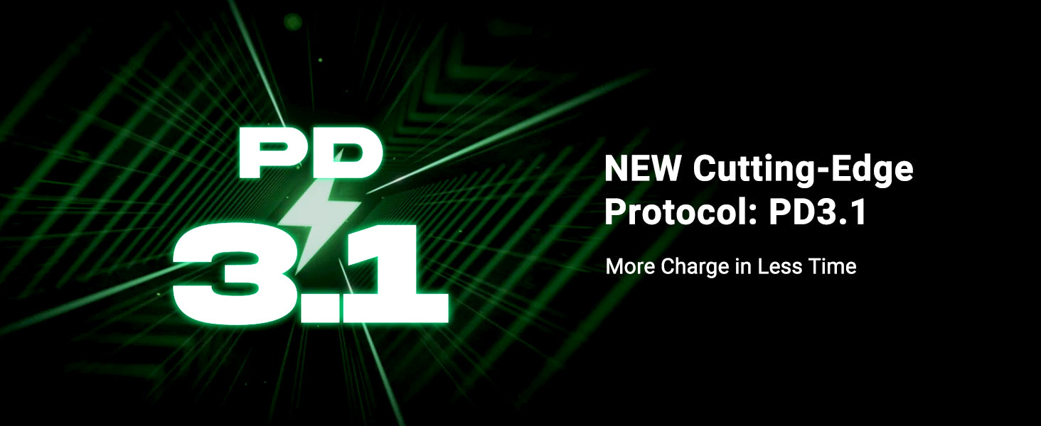 PD 3.1