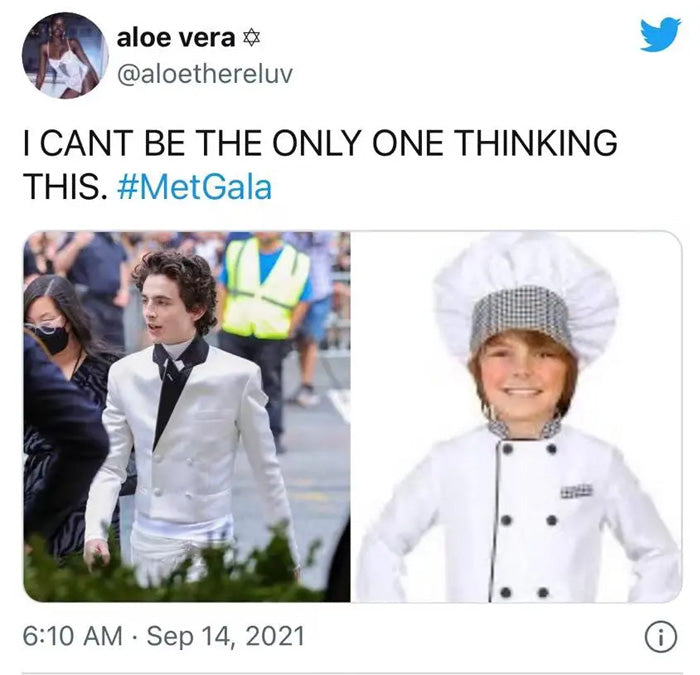 Timothée Chalamet 2021 Met Gala Men's Dresses Big Roundup