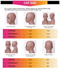 Natural Curly Hair 13x6 HD Lace Front Wigs Human Hair Pre Plucked Hairline Glueless Wig-Geeta Hair
