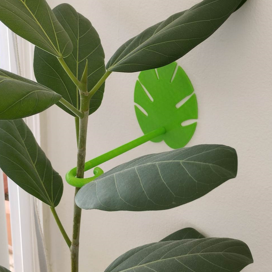 Plant Holder