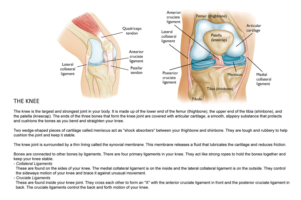 Knee Injury Guide – Comforband Sportsmed