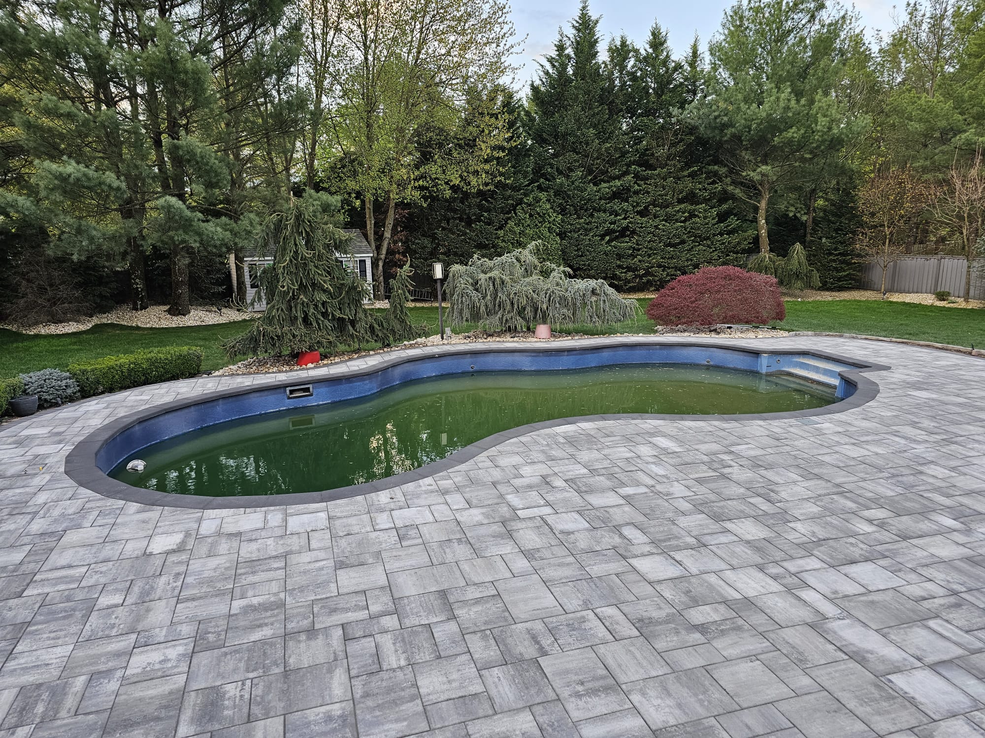 Carter's pool photo
