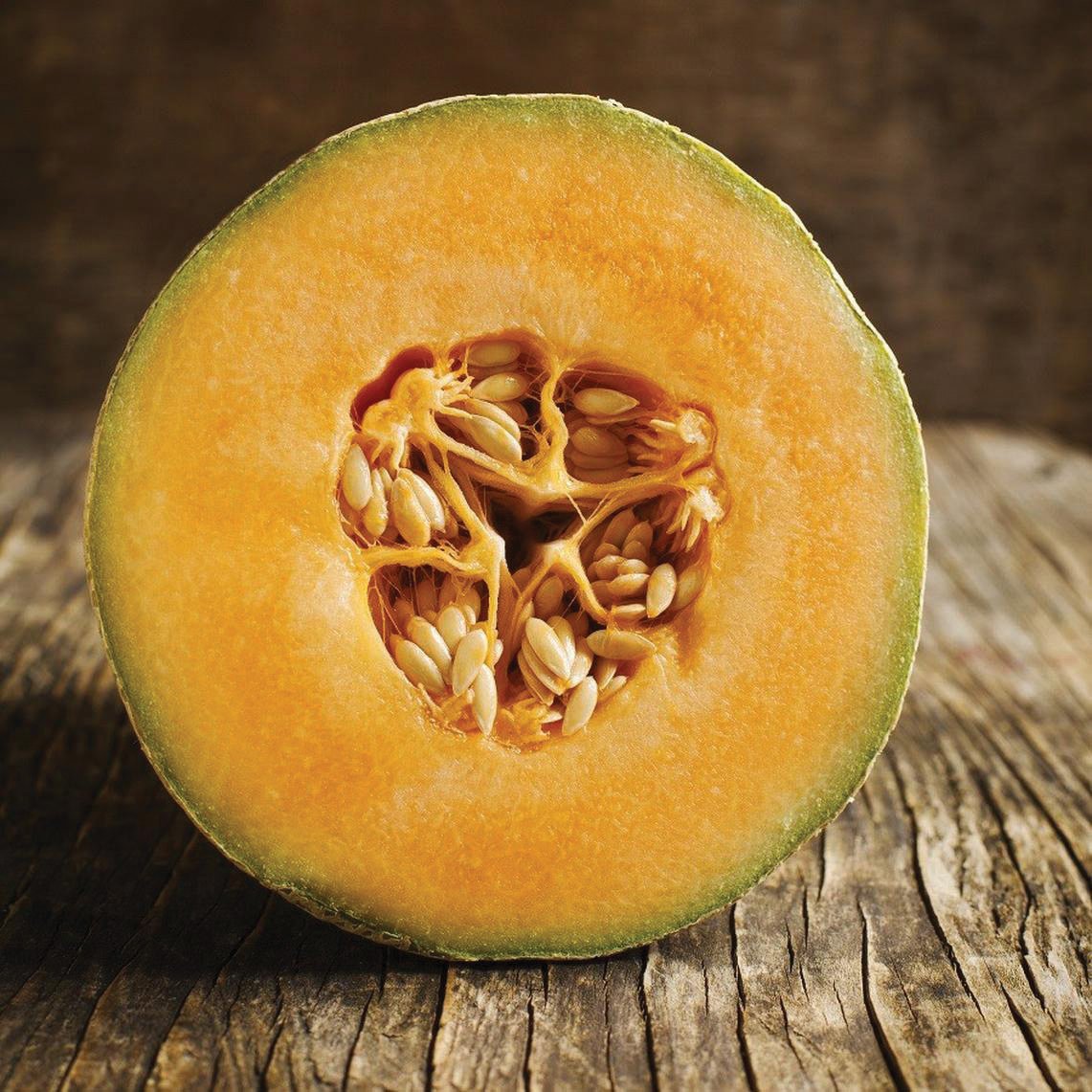 Honey Rock Melon