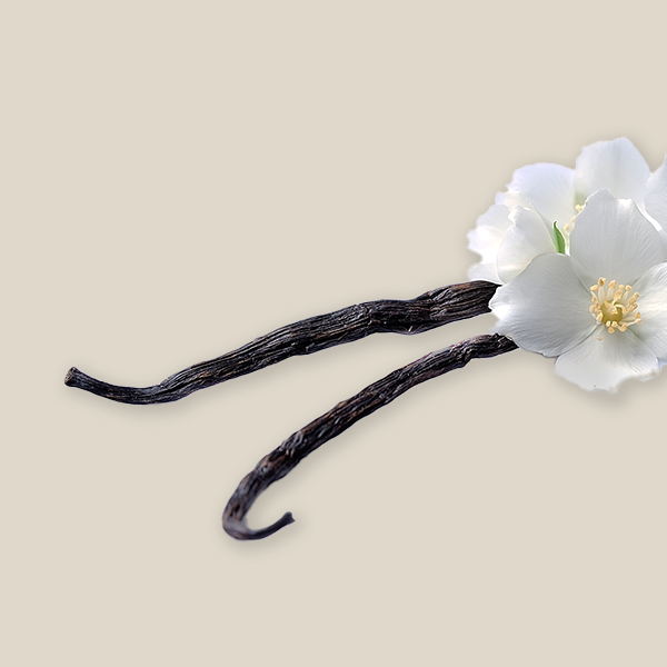 Natural Vanilla Bean