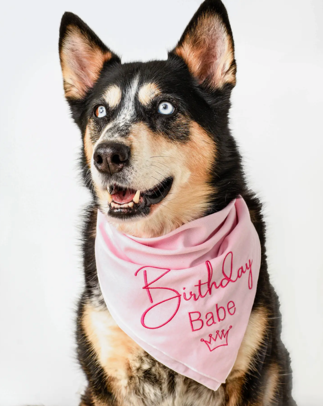 Birthday Girl Bandana