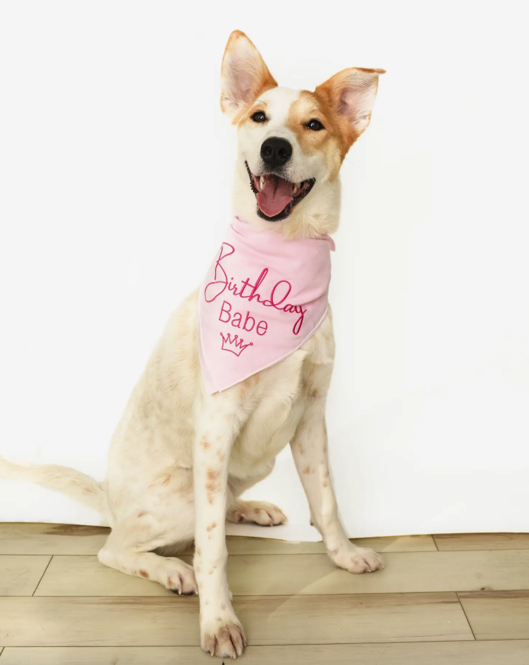 Birthday Girl Bandana