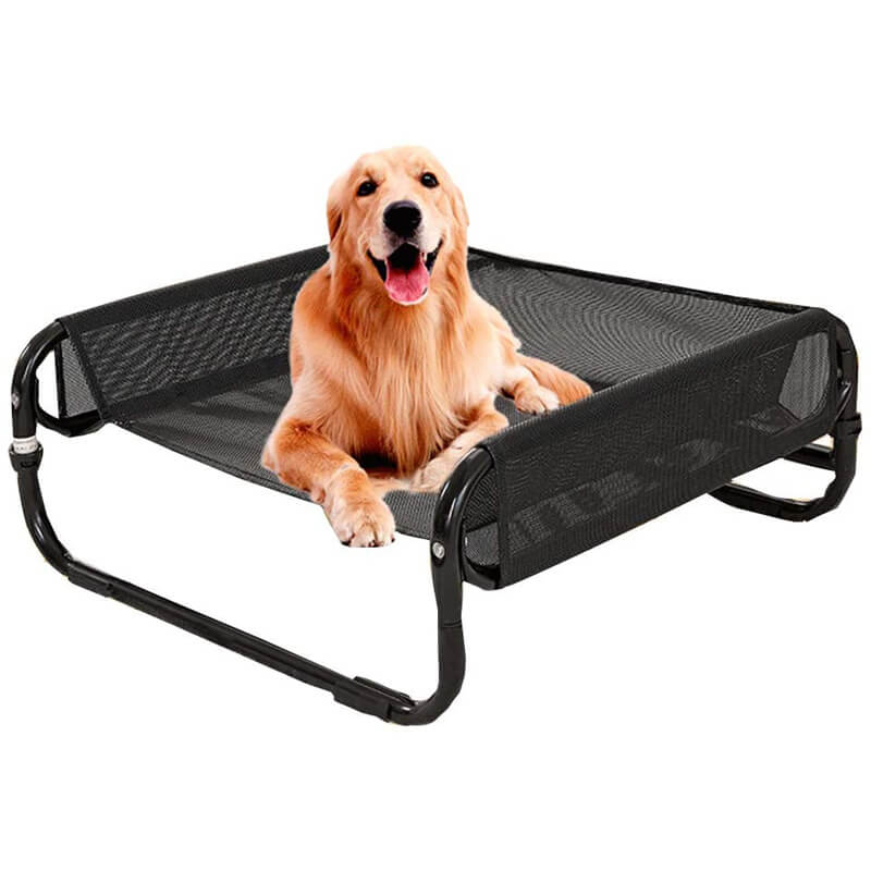 bunty raised dog bed