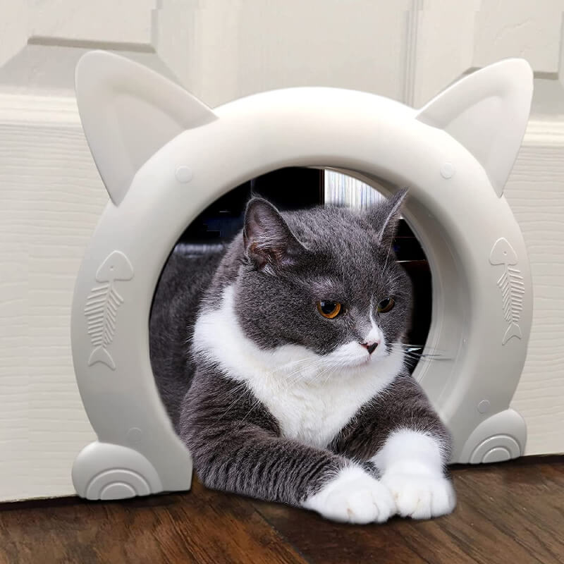 cat door in hollow core door