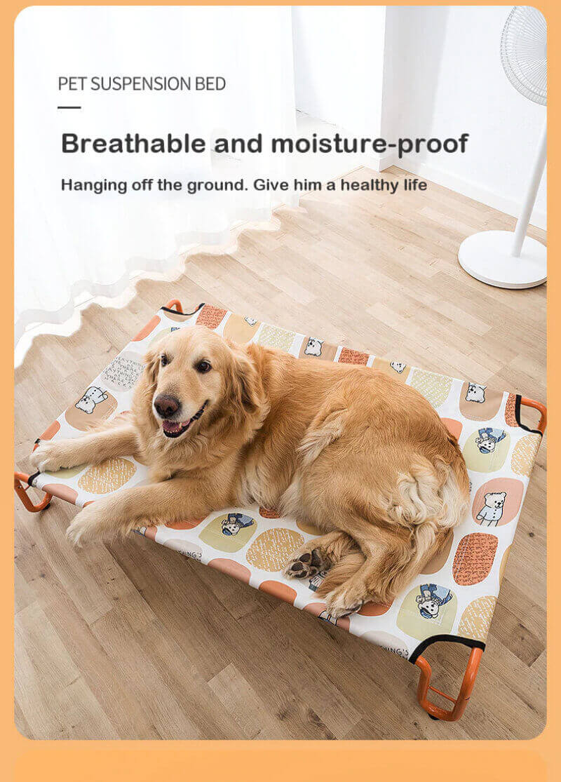 pawslife folding pet cot