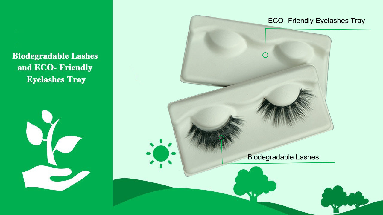 Biodegradable Lashes and ECO- Friendly Eyelashes Tray &P ackage