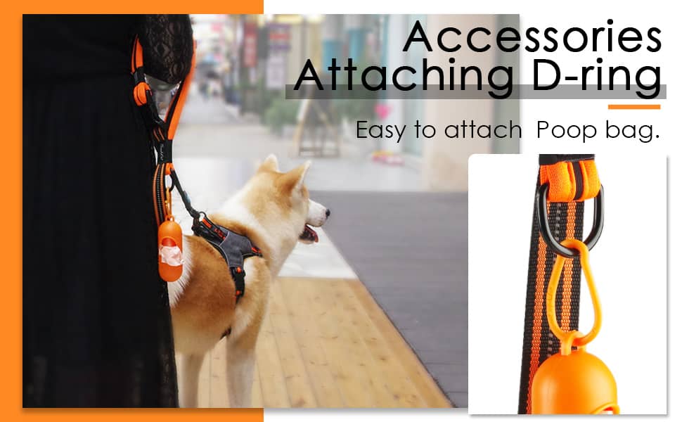 Large-Dog-Leash-D-Ring-Attachment-2021