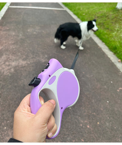 Lead the dog with a purple dog harness leash