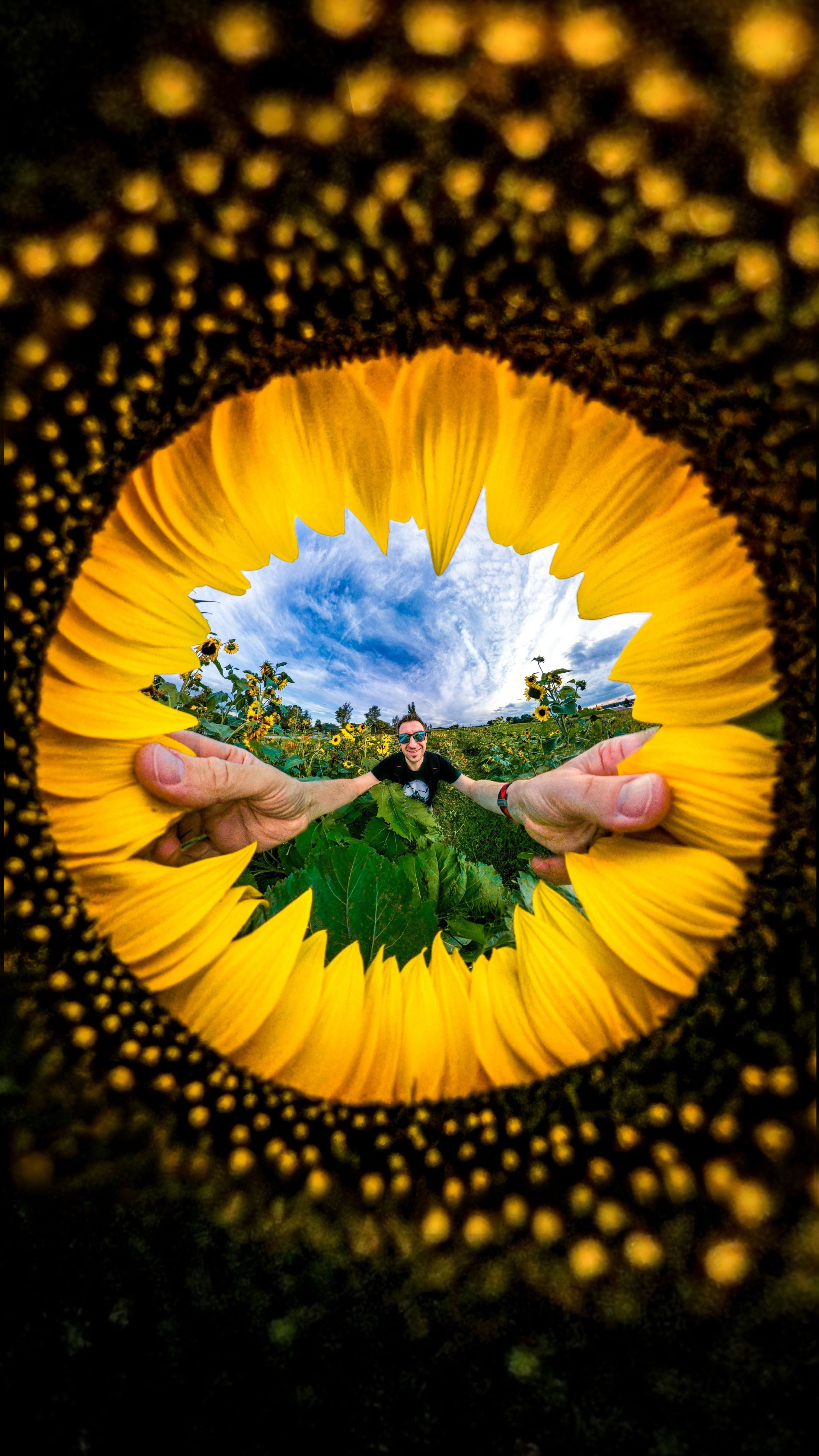 Embrace Creative Exploration