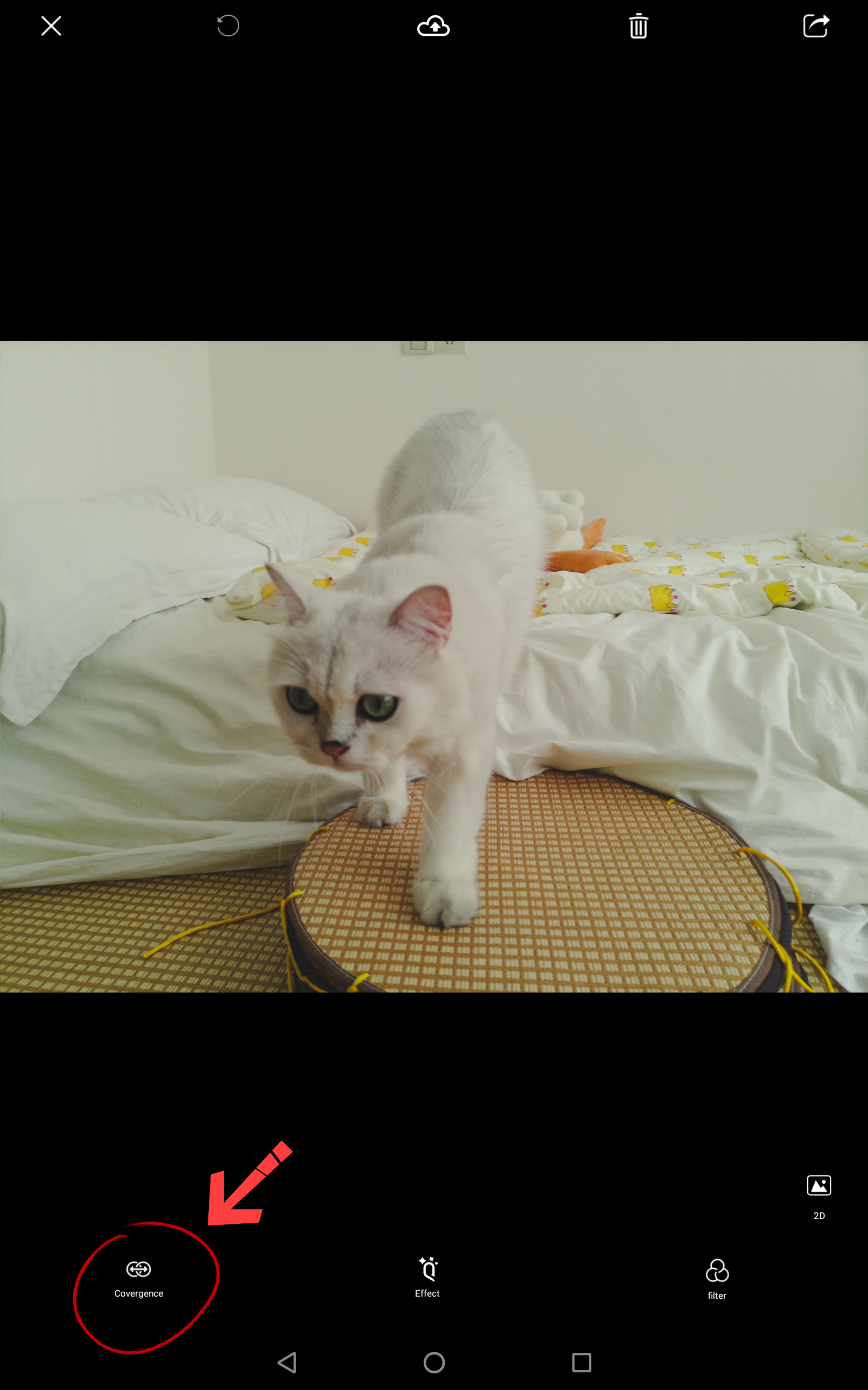 QooCam EGO x Lume pad Quick User Guide