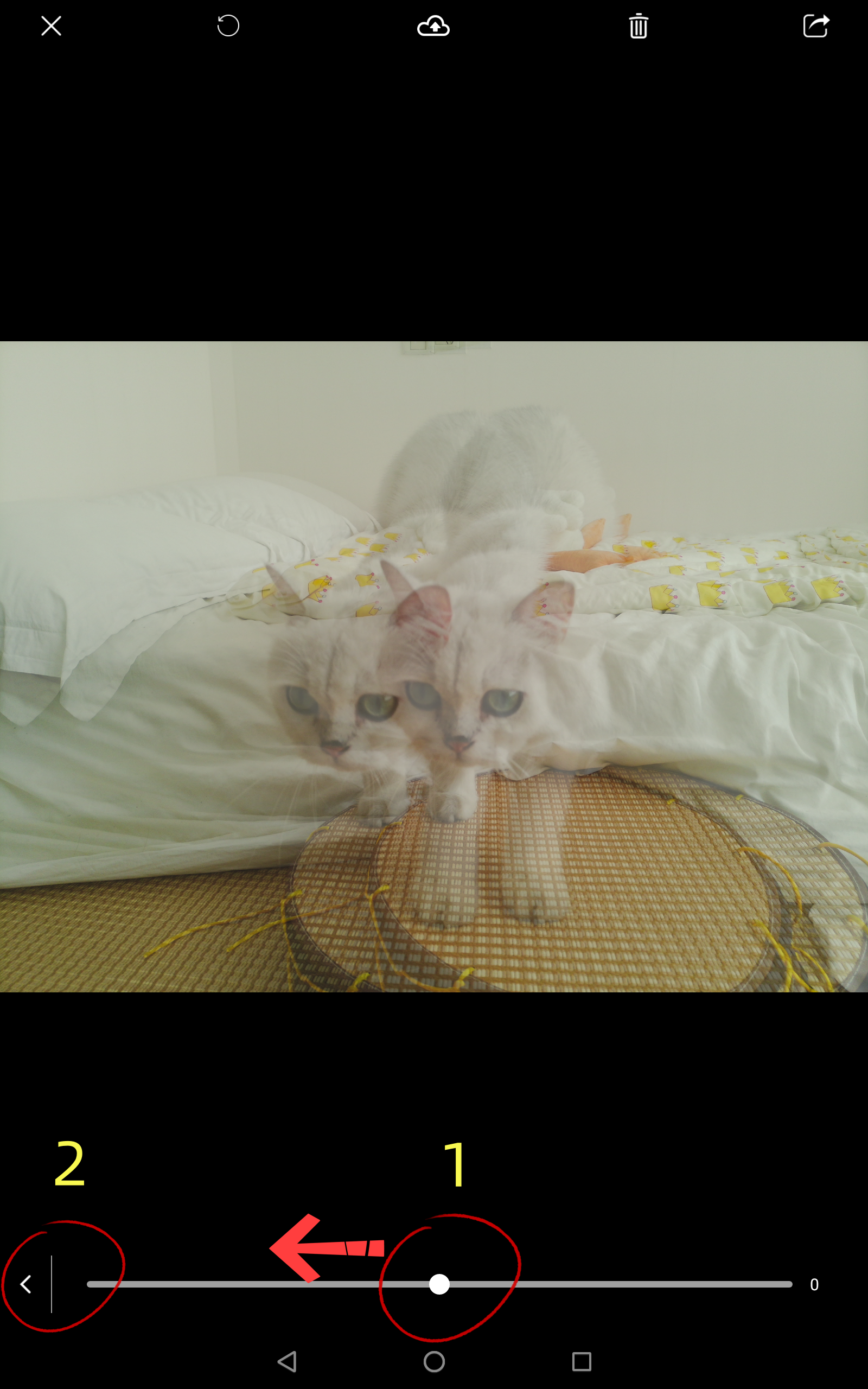 QooCam EGO x Lume pad Quick User Guide