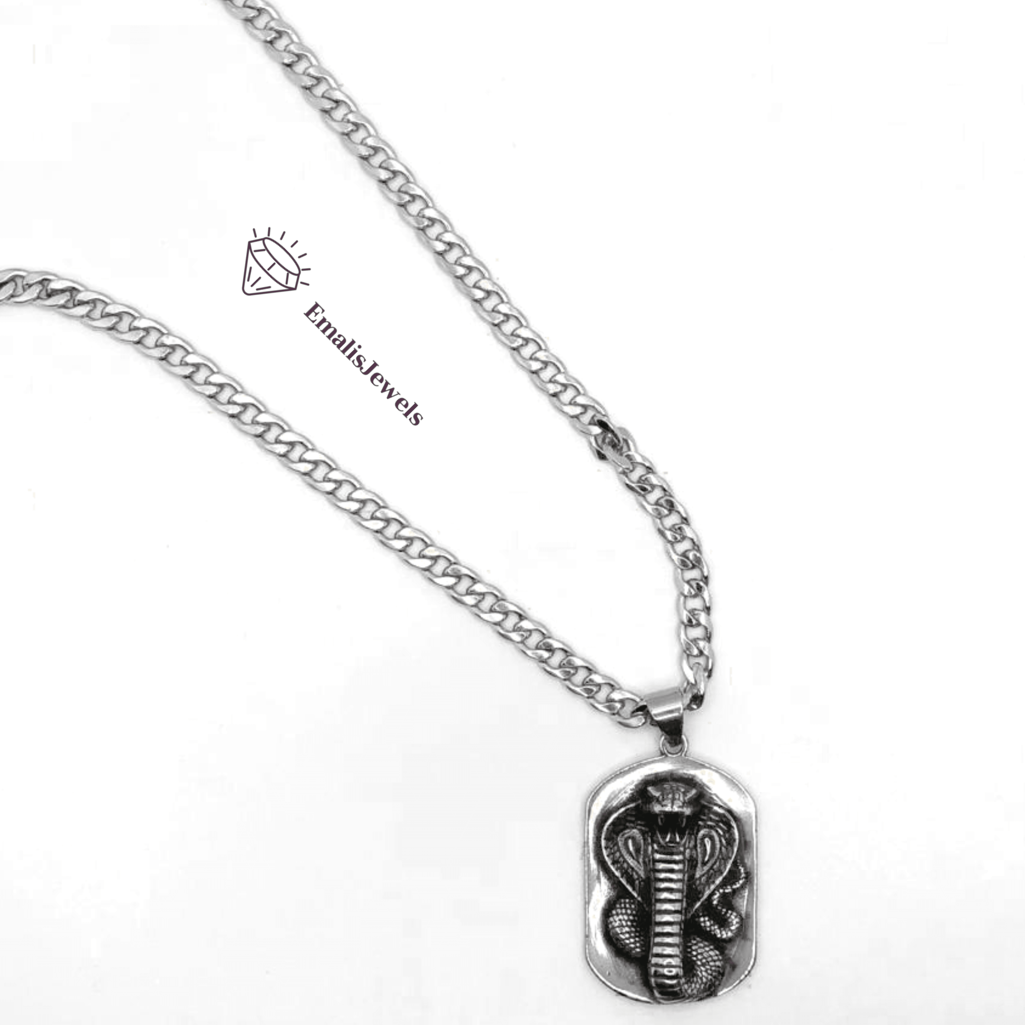 Stainless Steel Chain Necklace and Stainless Steel Serpent Pendant