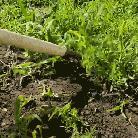 black and decker grass trimmer New type of weeding shovel Garden Tools Handheld Weeding Rake Planting Vegetables Farm Garden Agriculture Tool Dropshipping long sleeve garden gloves