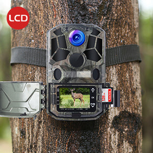 wildgame shadow camera