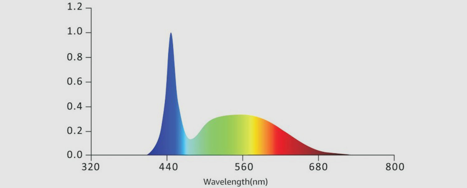 Full-spectrum map required for Vegetation Stage