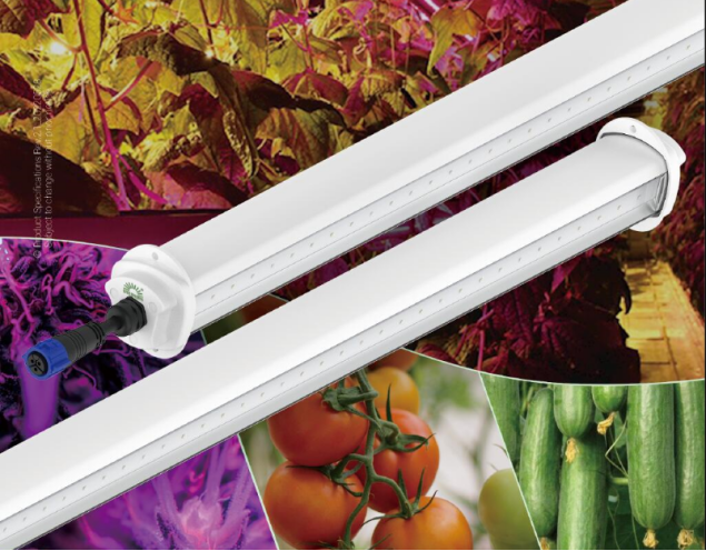 led grow light