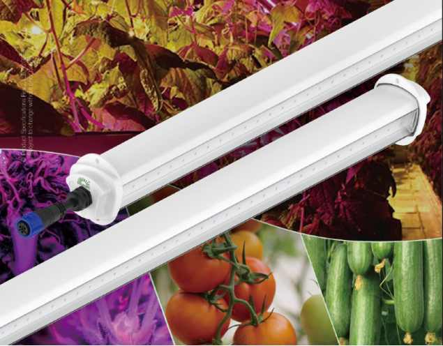 led grow light 