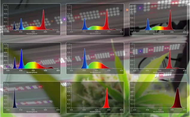 hyphotonflux led grow light which can adjustable the spectrum in different growing stages are increasingly preferred by growers.