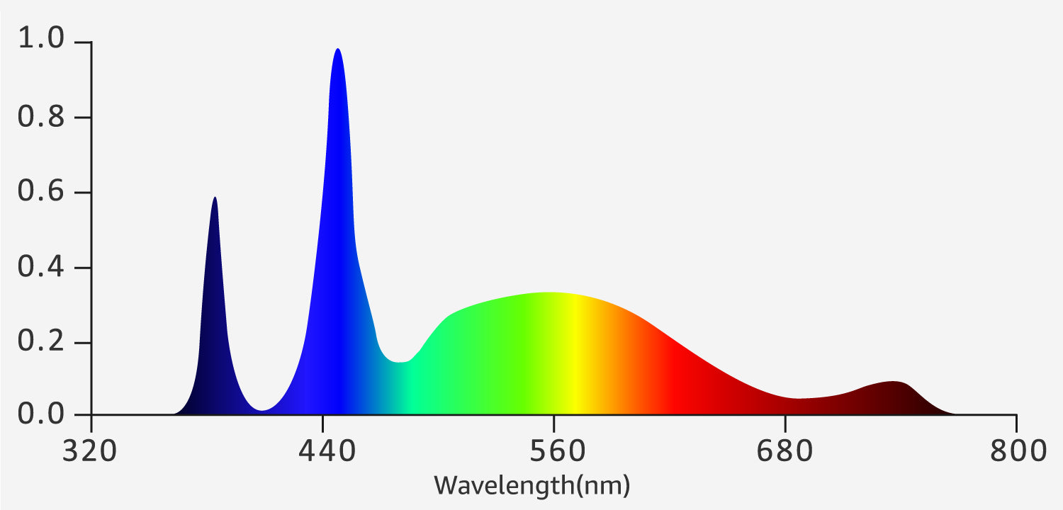 spectrum for Vegetative stage