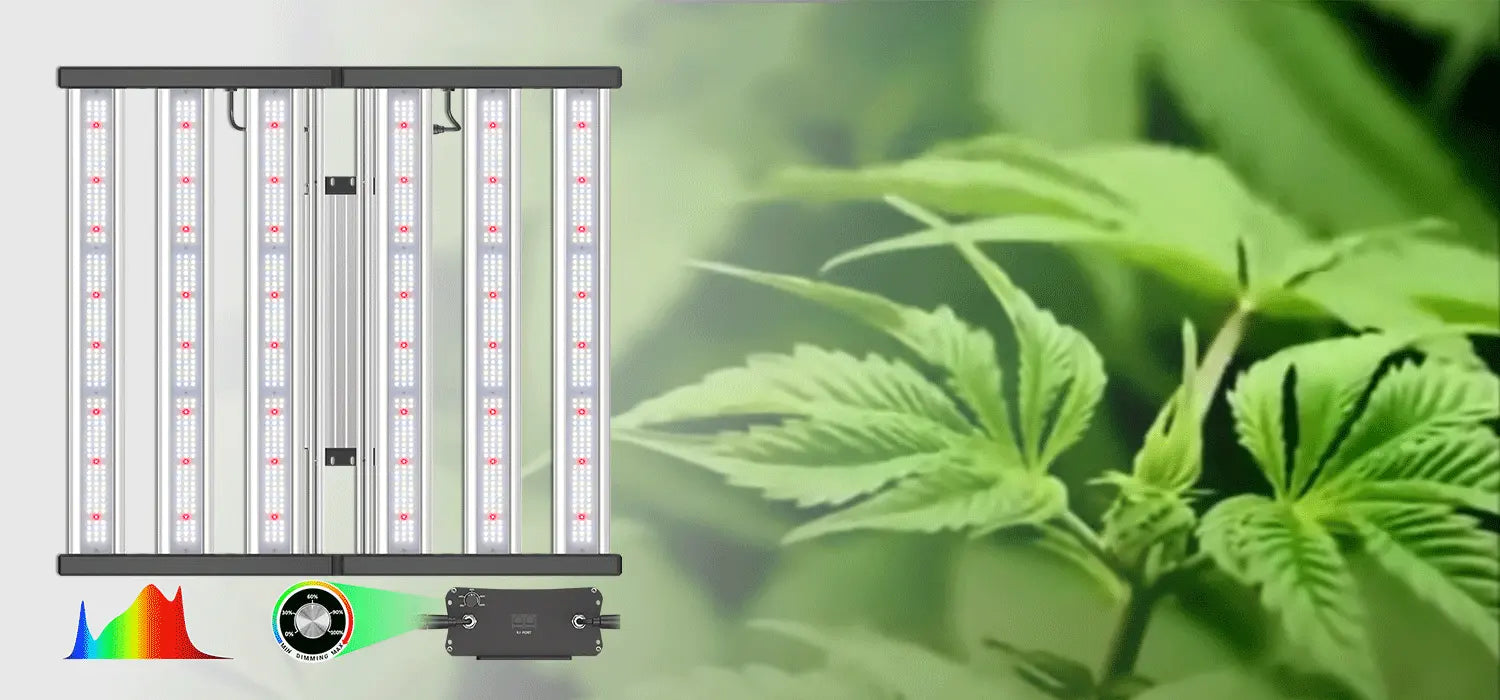 hyphotonflux 4x4 led grow light