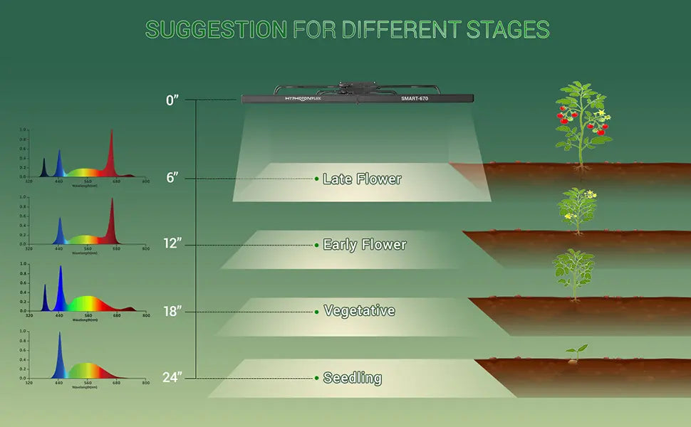 Suggestion of spectrum and height for plants at different stages