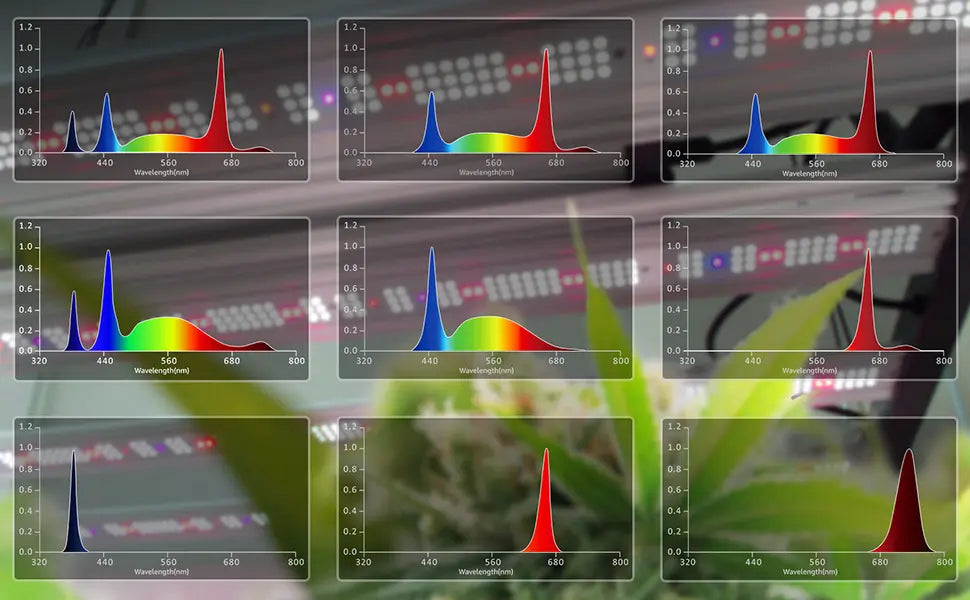 full spectrum led grow light which 14 kinds of spectrum can be combined