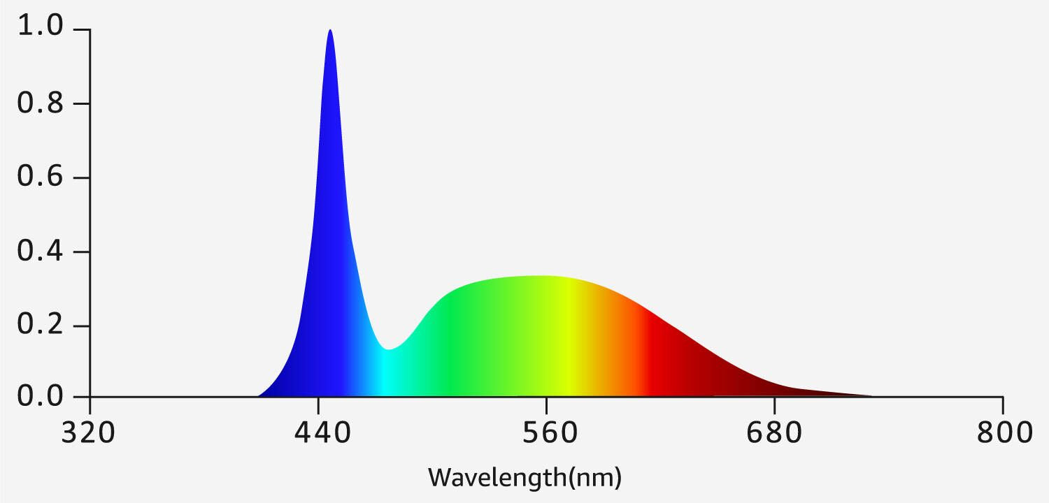 Spectrum for Seedling