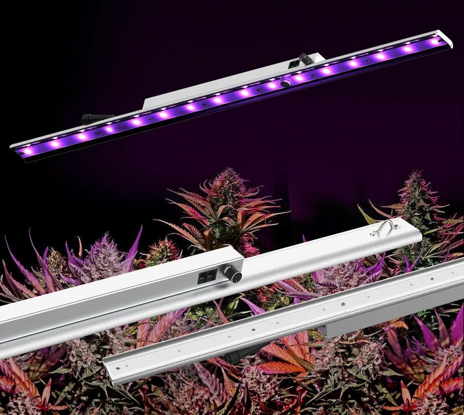 HYPHOTONFLUX 30W UV-A Bar