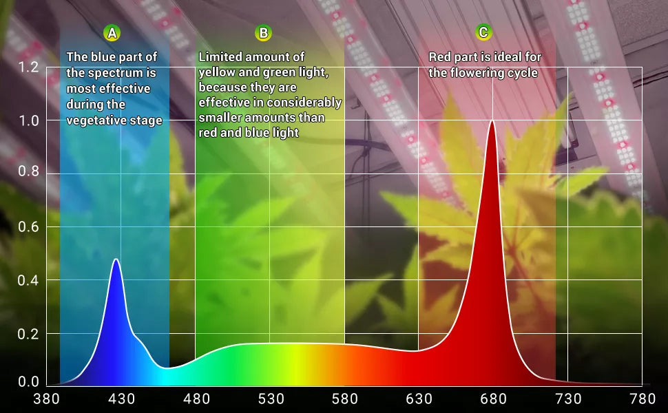 the full spectrum led grow light including more red light