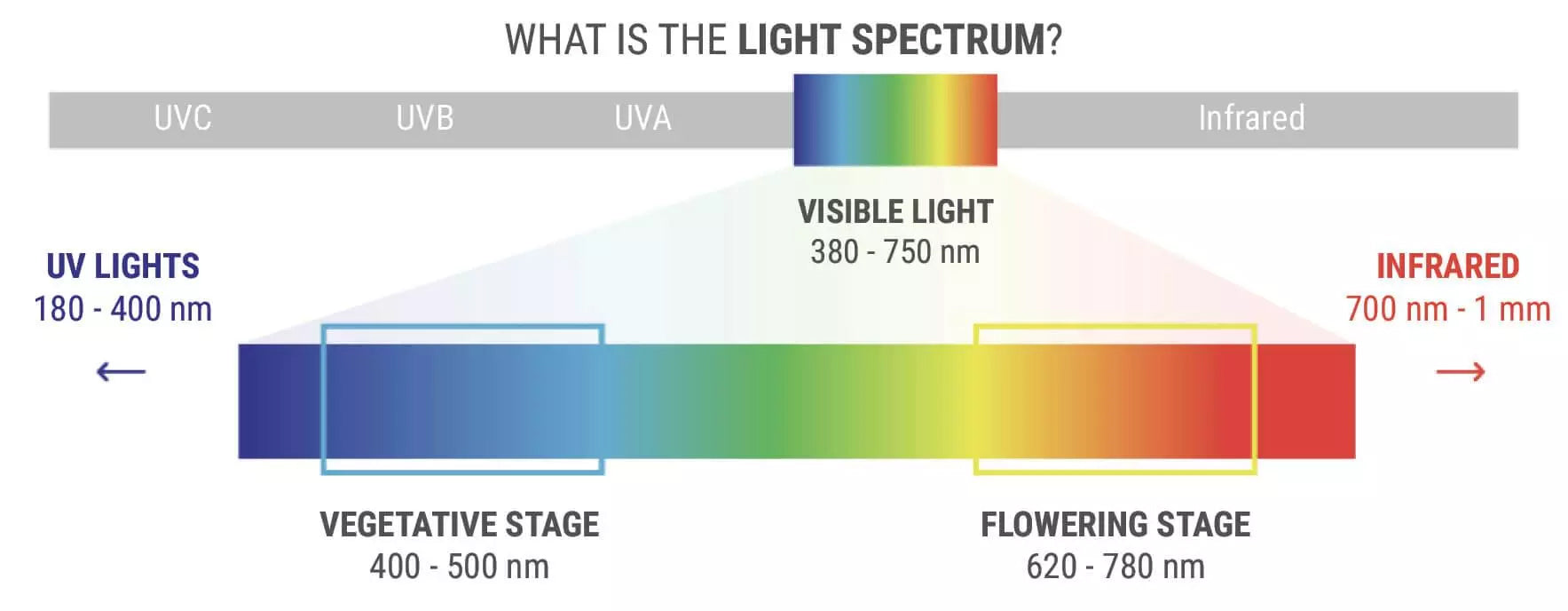 what is the light spectrum