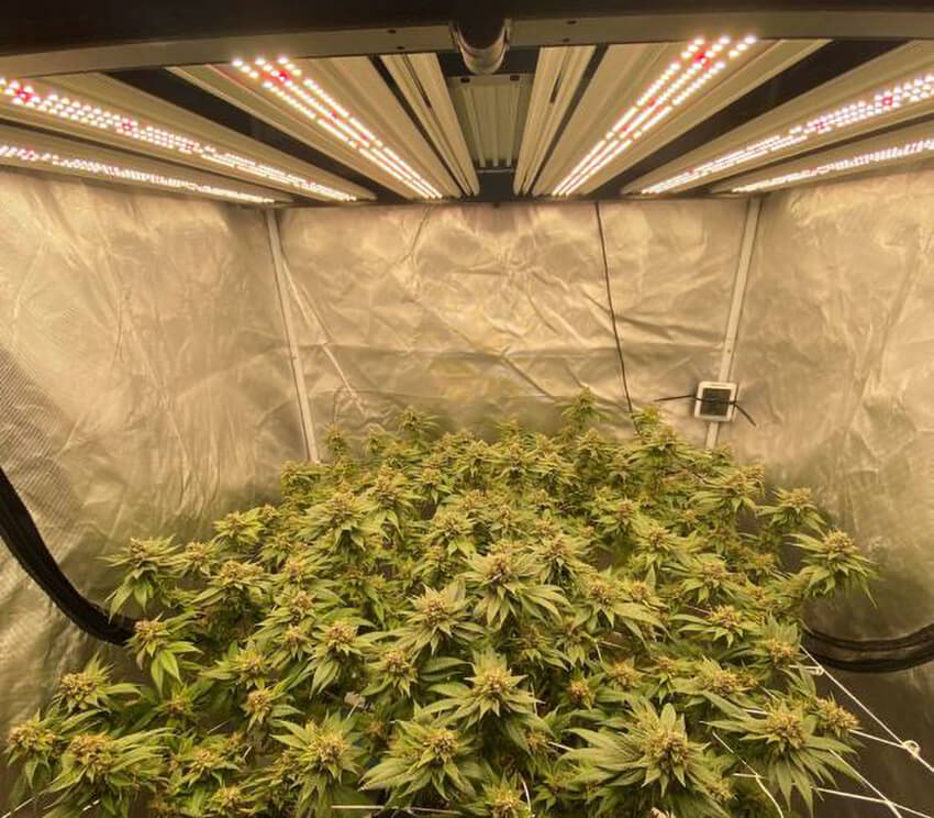 Heat problems in indoor grow tents