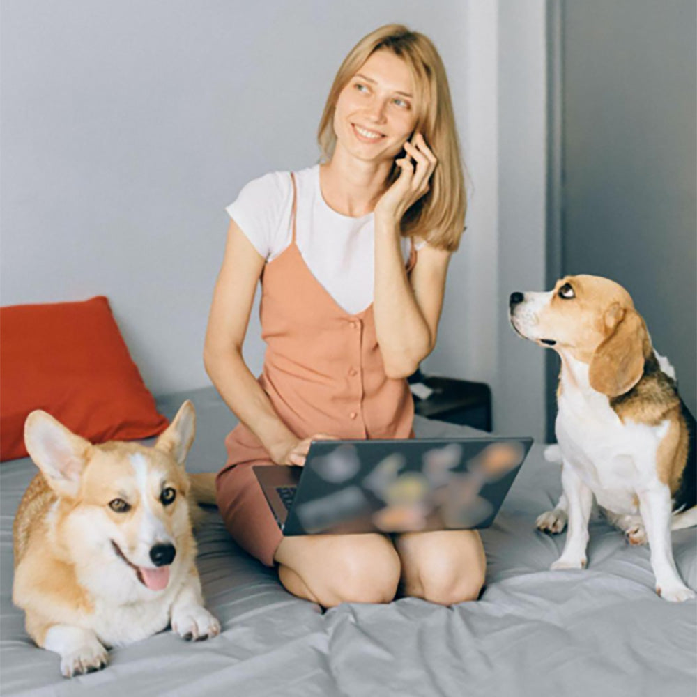 A blonde sits on a gray bed talking on her cell phone with a computer in her lap. There are two lovely pet dogs beside her.