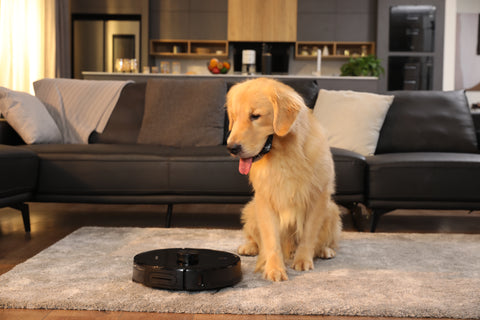 The Best Robot Vacuum for Pet Hair in Mom's Eyes | AIRROBO