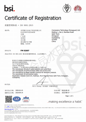 ISO9001:2005 BSI