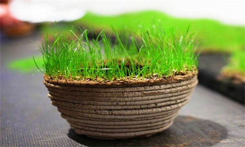 Four cases of amazing 3D printing technology | 3D Printing Soil 