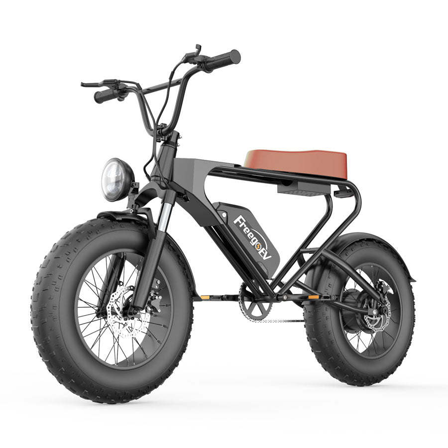 GT200 Off Road Mountain Electric Bike 20' Fat tires 1200W